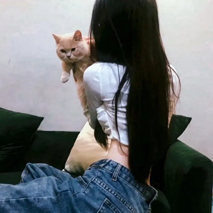 私家课程