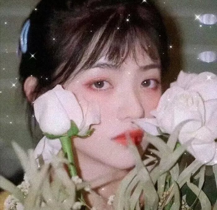 生生舞不息